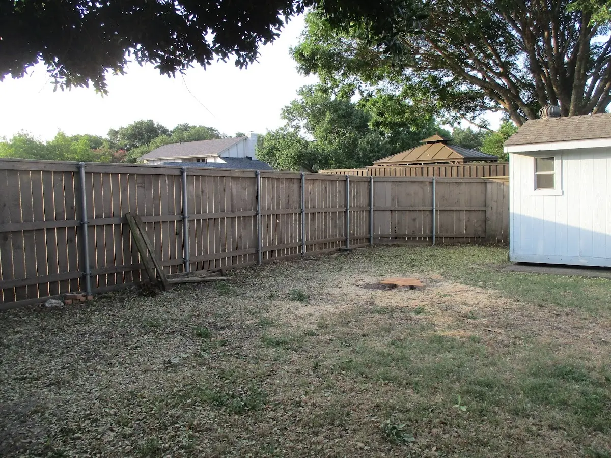 Cleared yard after professional tree removal in Valley Springs